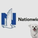 Nationwide Insurance Pet