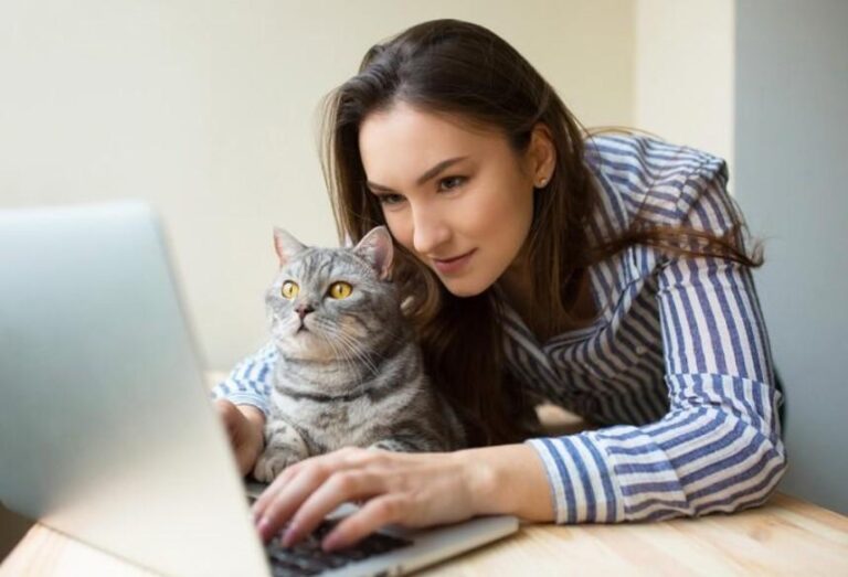 nationwide cat insurance