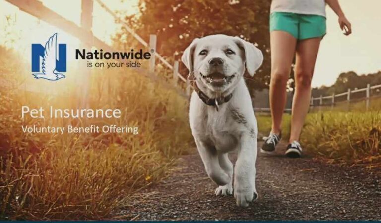 Nationwide Dog Insurance